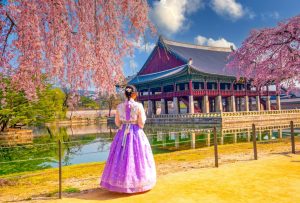 Teaching English in South Korea: Visa, Jobs, Salary & Real Insights
