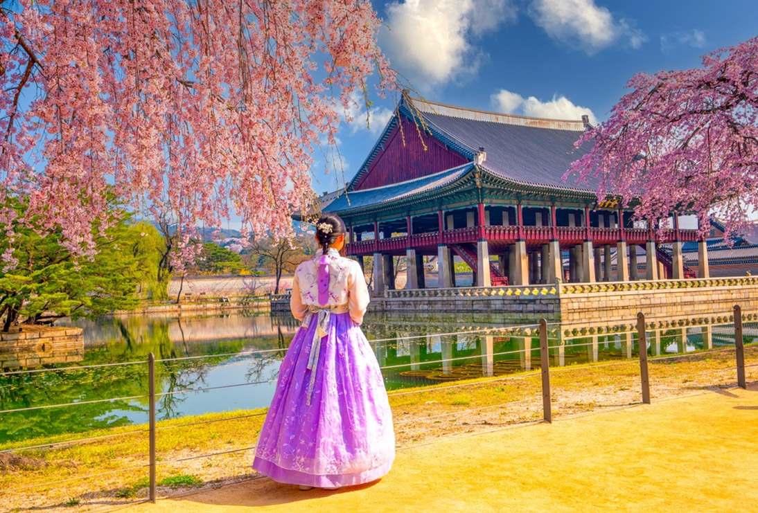 Teaching English in South Korea: Visa, Jobs, Salary & Real Insights